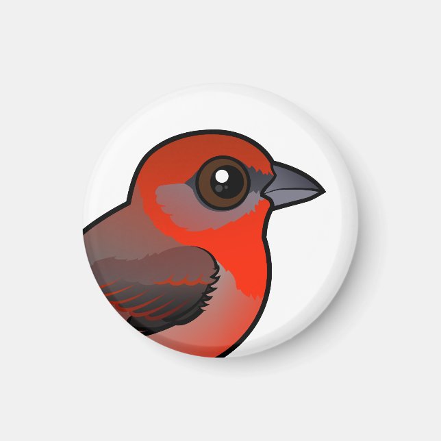 Hepatic Tanager Magnet (Framsidan)