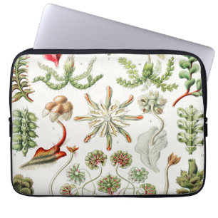 Hepaticae Levermossor av Ernst Haeckel Laptop Fodral