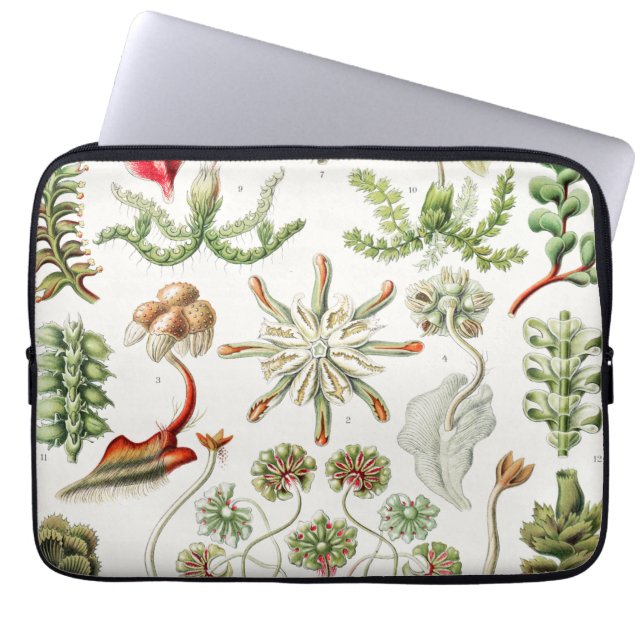 Hepaticae Levermossor av Ernst Haeckel Laptop Fodral (Framsidan)