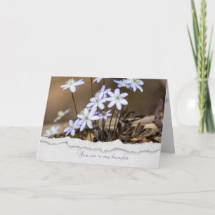 Hepca vildblomma tänker på dig kort