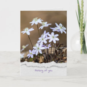 Hepca vildblomma tänker på dig kort