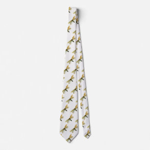 Hepialus humuli women - Ghost Moth eller Ghost Swi Slips