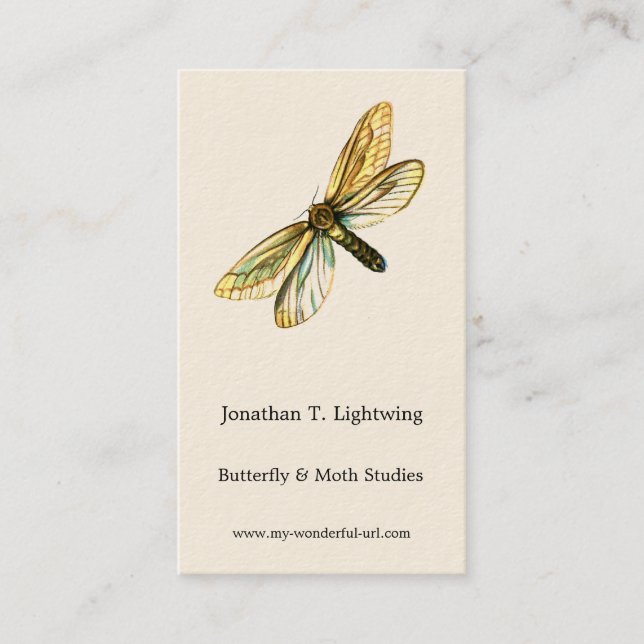 Hepialus humuli women - Ghost Moth eller Ghost Swi Visitkort (Framsida)