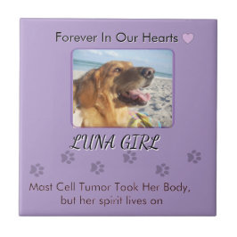 Her Memory in Gentle Purple Kakelplatta