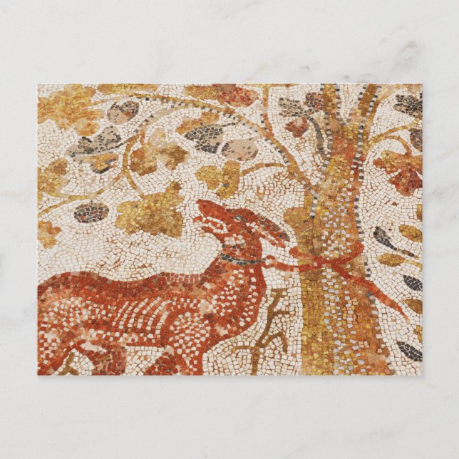 Heraclea Hund Mosaic Vykort (Framsida)