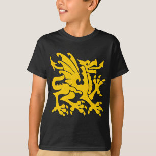Heraldic Dragon 01 - Amber Tröja
