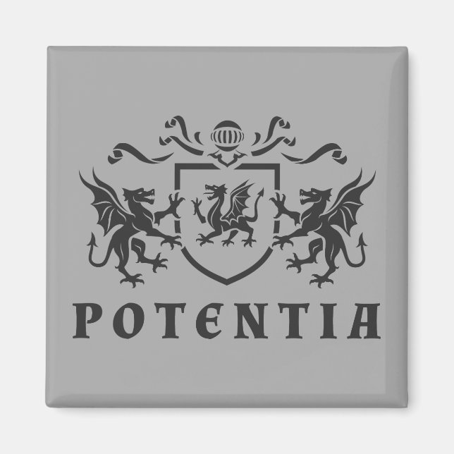 Heraldic Dragon Blazon Magnet (Framsidan)