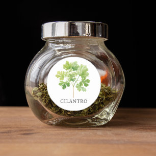 Herb Cilantro Watercolor Runt Klistermärke