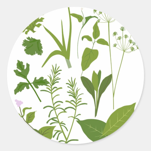 Herb Collection Sticker Runt Klistermärke (Framsida)