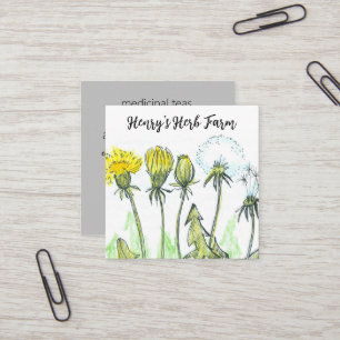 Herb Farm Dandelion Medicinal Plants Affärskort Fyrkantigt Visitkort