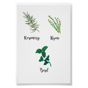 Herb Garden Painting Fototryck