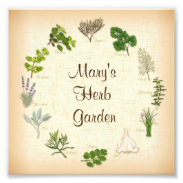 Herb Garden Photo Print Fototryck