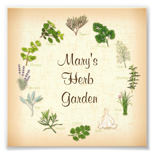 Herb Garden Photo Print Fototryck (Framsidan)