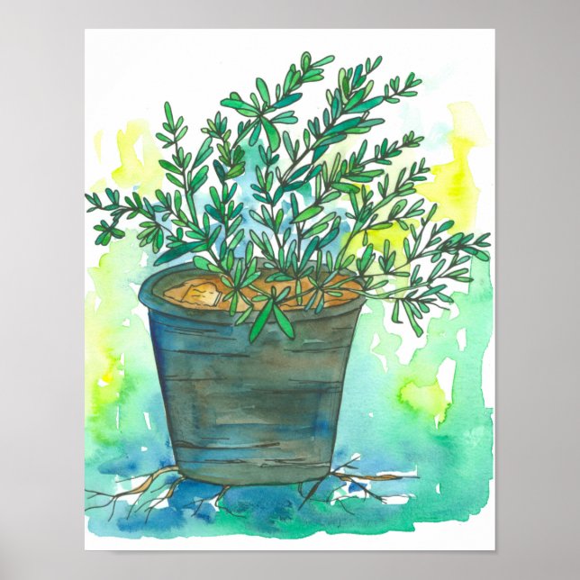 Herb Garden Rosemary Poster (Framsidan)