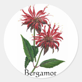 Herb Garden Series - Bergamot Runt Klistermärke