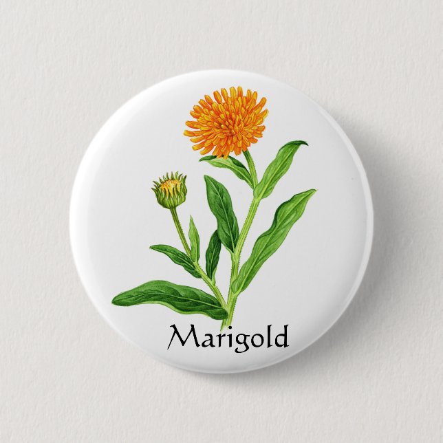 Herb Garden Series - Marigold Knapp (Framsida)