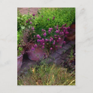 Herb Garden Vykort