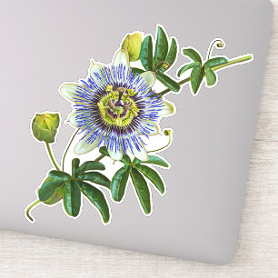 Herb Passionblomman Vinyl Sticker Klistermärken