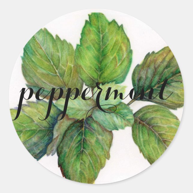 Herb: Peppermynt Runt Klistermärke (Framsida)