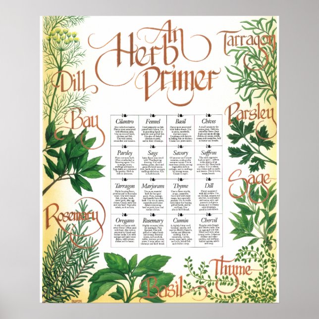 Herb Primer poster utskrift (Framsidan)