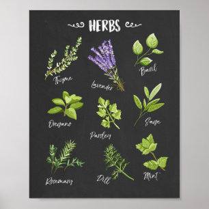 Herb print Örters art Kitchen Art Kitchen decor Poster