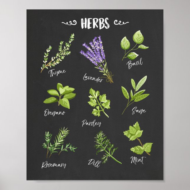 Herb print Örters art Kitchen Art Kitchen decor Poster (Framsidan)