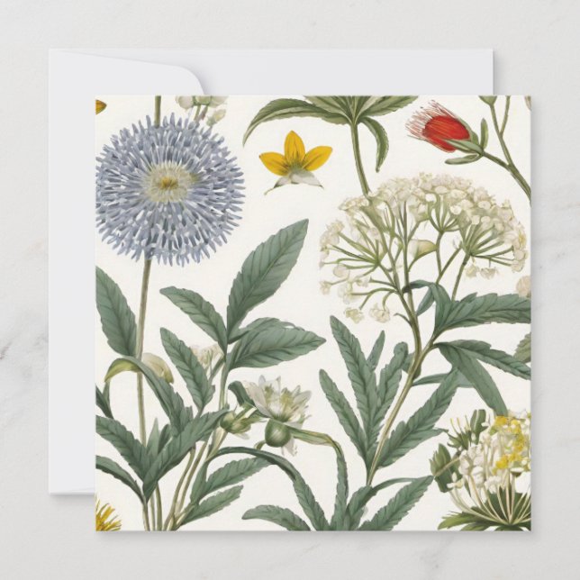 Herbal Harmony (Framsida)