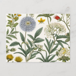 Herbal Harmony Vykort