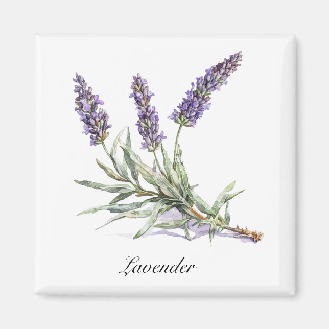Herbal Life: Lavender, anpassadet Magnet (Framsidan)