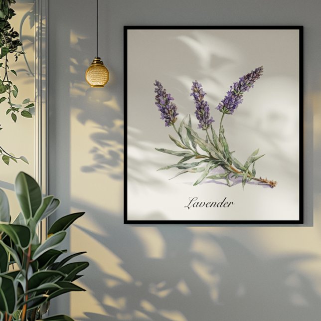 Herbal Life: Lavender, anpassadet Poster (Skapare uppladdad)