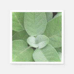 Herbal Napkin Pappersservett