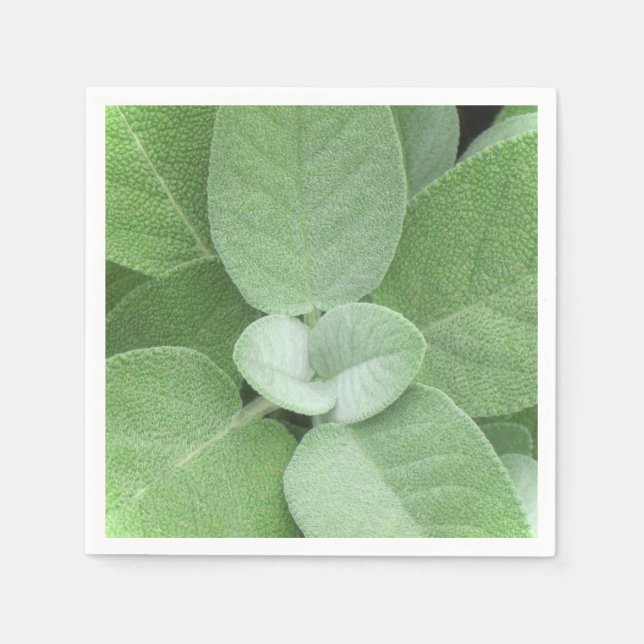 Herbal Napkin Pappersservett (Framsidan)