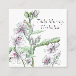 Herbalist Marshmallow Flowers Medicinal Örters Fyrkantigt Visitkort