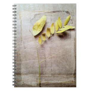 Herbarium V Anteckningsbok Med Spiral