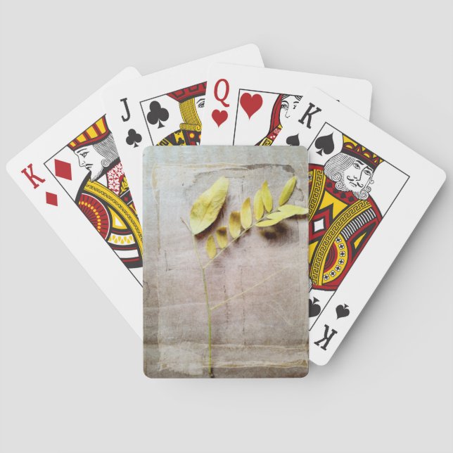 Herbarium V Casinokort (Baksidan)