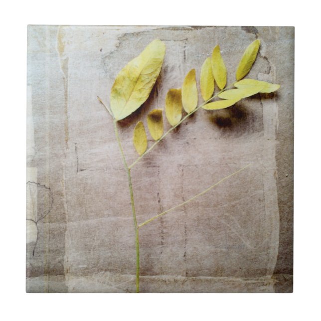 Herbarium V Kakelplatta (Framsidan)