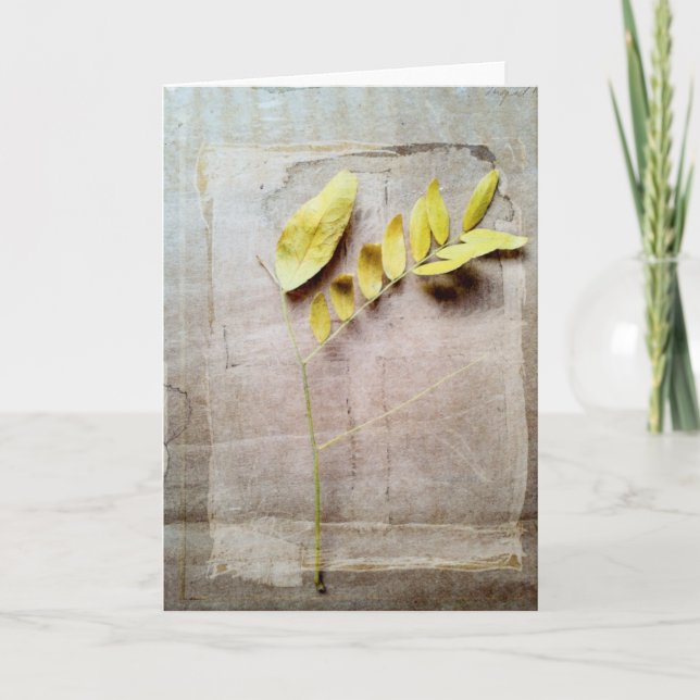 Herbarium V Kort (Framsida)