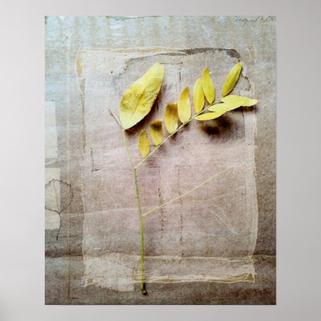 Herbarium V Poster (Framsidan)