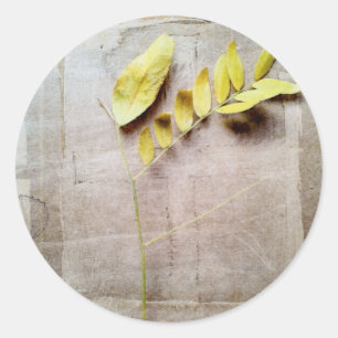 Herbarium V Runt Klistermärke