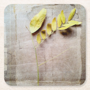 Herbarium V Underlägg Papper Kvadrat