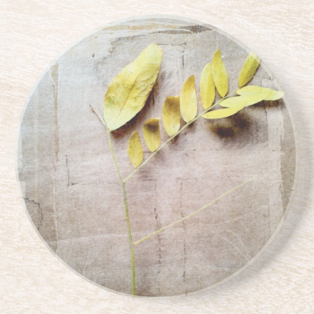 Herbarium V Underlägg Sandsten (Framsidan)