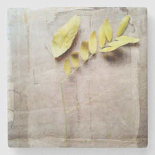 Herbarium V Underlägg Sten