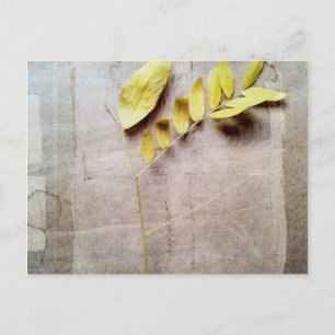 Herbarium V Vykort