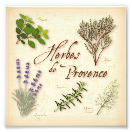 Herbes de Provence Photo Print Fototryck