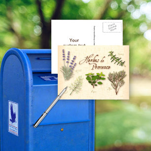 Herbes de Provence Postcard Vykort