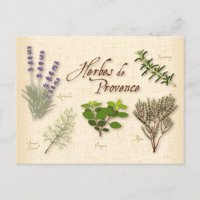 Herbes de Provence Postcard Vykort (Framsida)