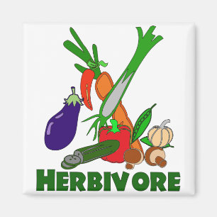 Herbivor Magnet