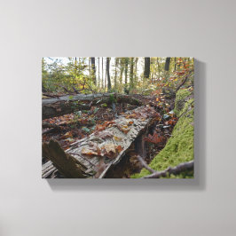 Herbst Canvastryck