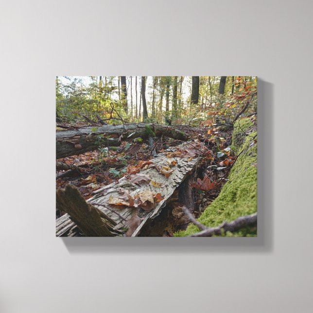 Herbst Canvastryck (Framsida)