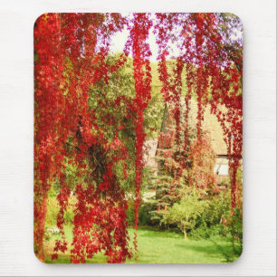Herbst / Höst Musmatta